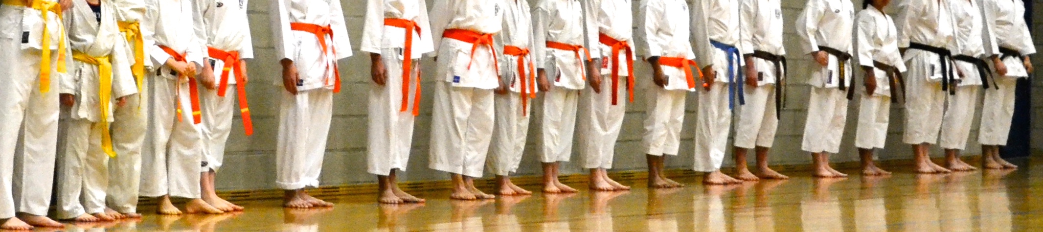 Funakoshi Karate Tongerlo